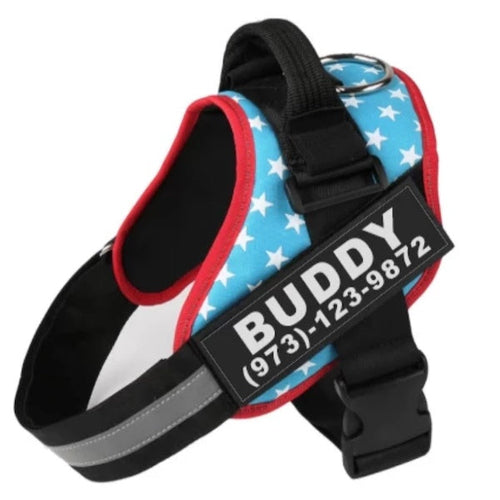 PawSecure™ – Custom No-Pull Dog Harness with Reflective Patch