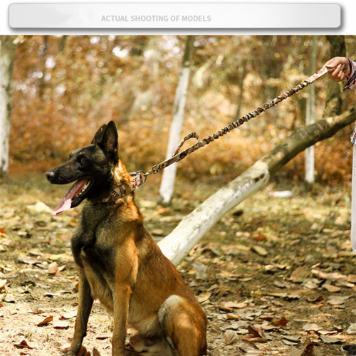 2" Wide Tactical Heavy Duty Nylon Large Dog Collar K9 Military With