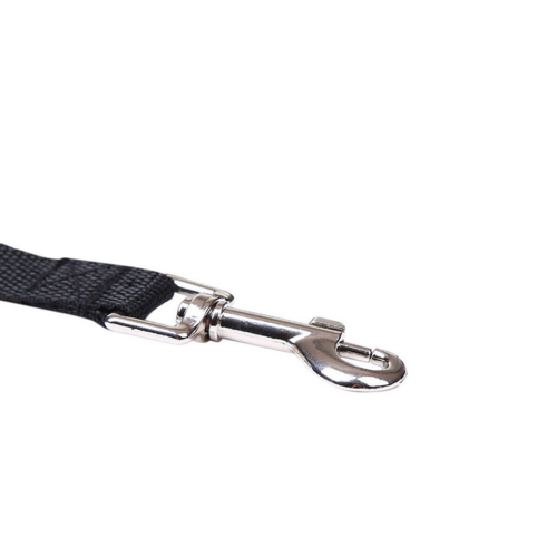 Dog Leash Long Obedience Recall Foot Feet Training Lead