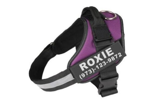 PawSecure™ – Custom No-Pull Dog Harness with Reflective Patch
